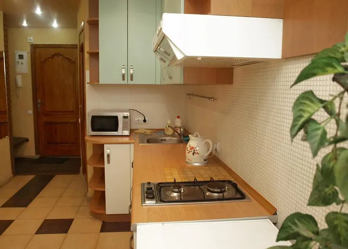 Apartment In The City Center
